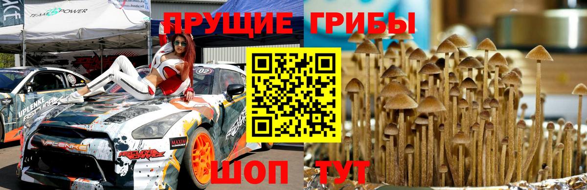 Галлюциногенные грибы мухоморы Белогорск